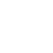 icon-aus