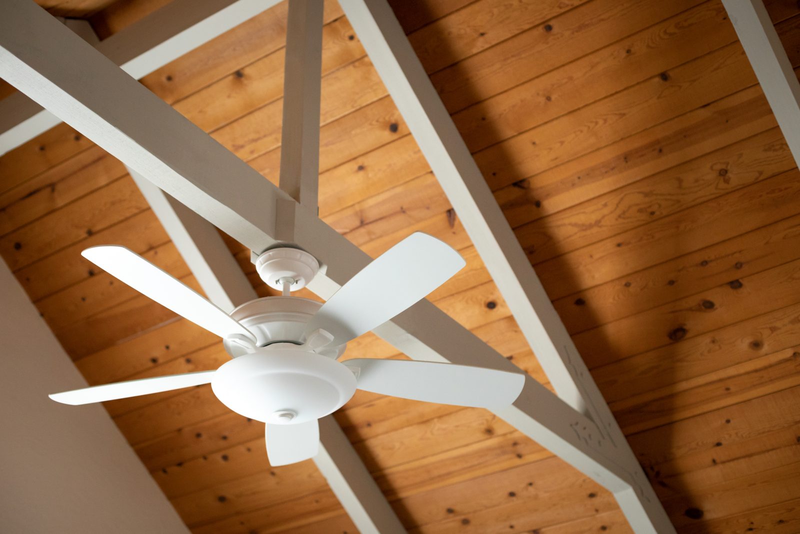Buying A Ceiling Fan All You Need To Know Dawson Electric